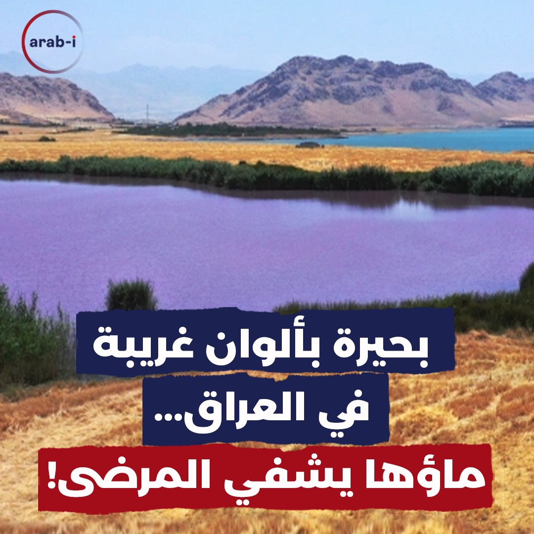 ! بحيرة البنفسج في العراق لشفاء المرضى