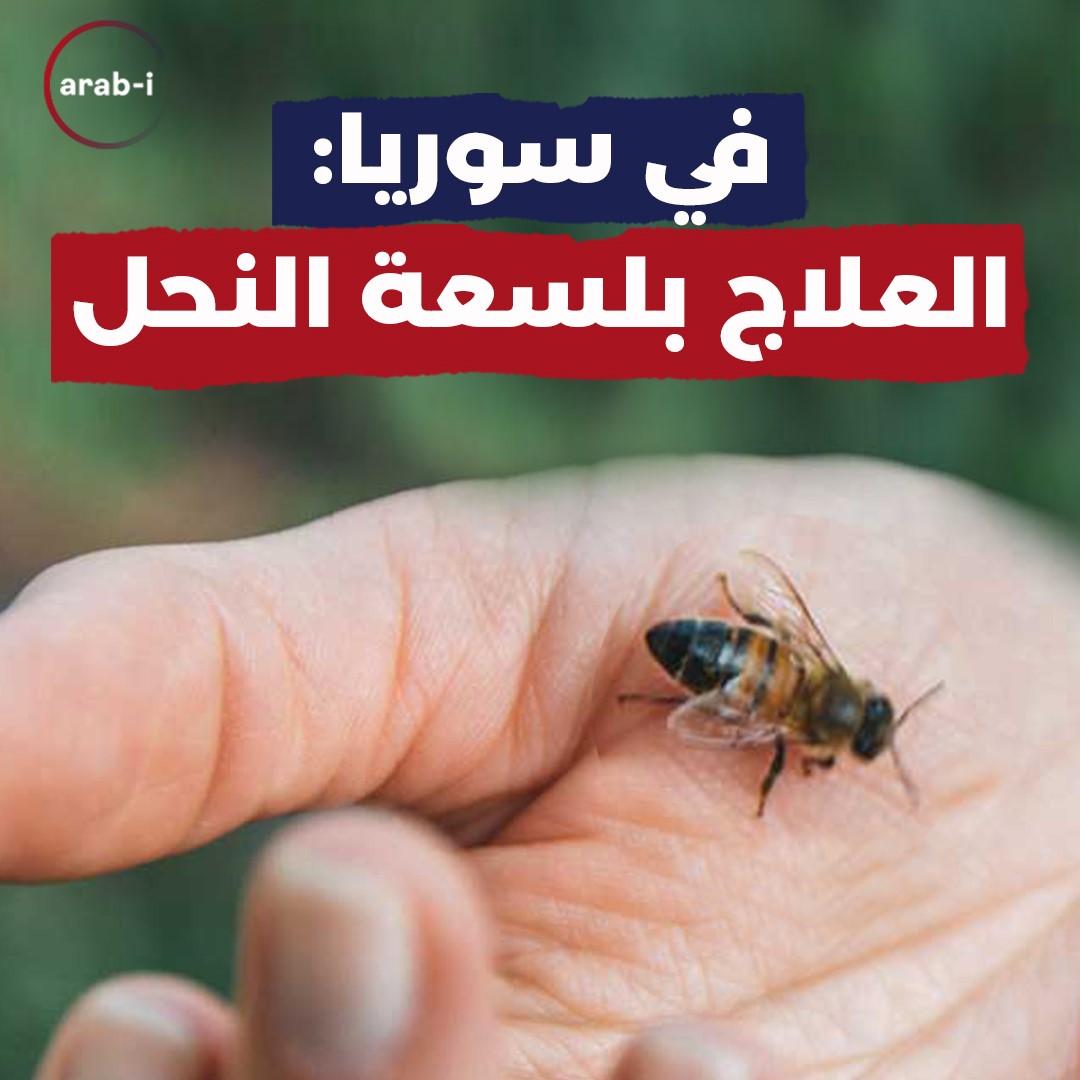 طبيب سوري يحوّل لسعة النحل إلى علاج!