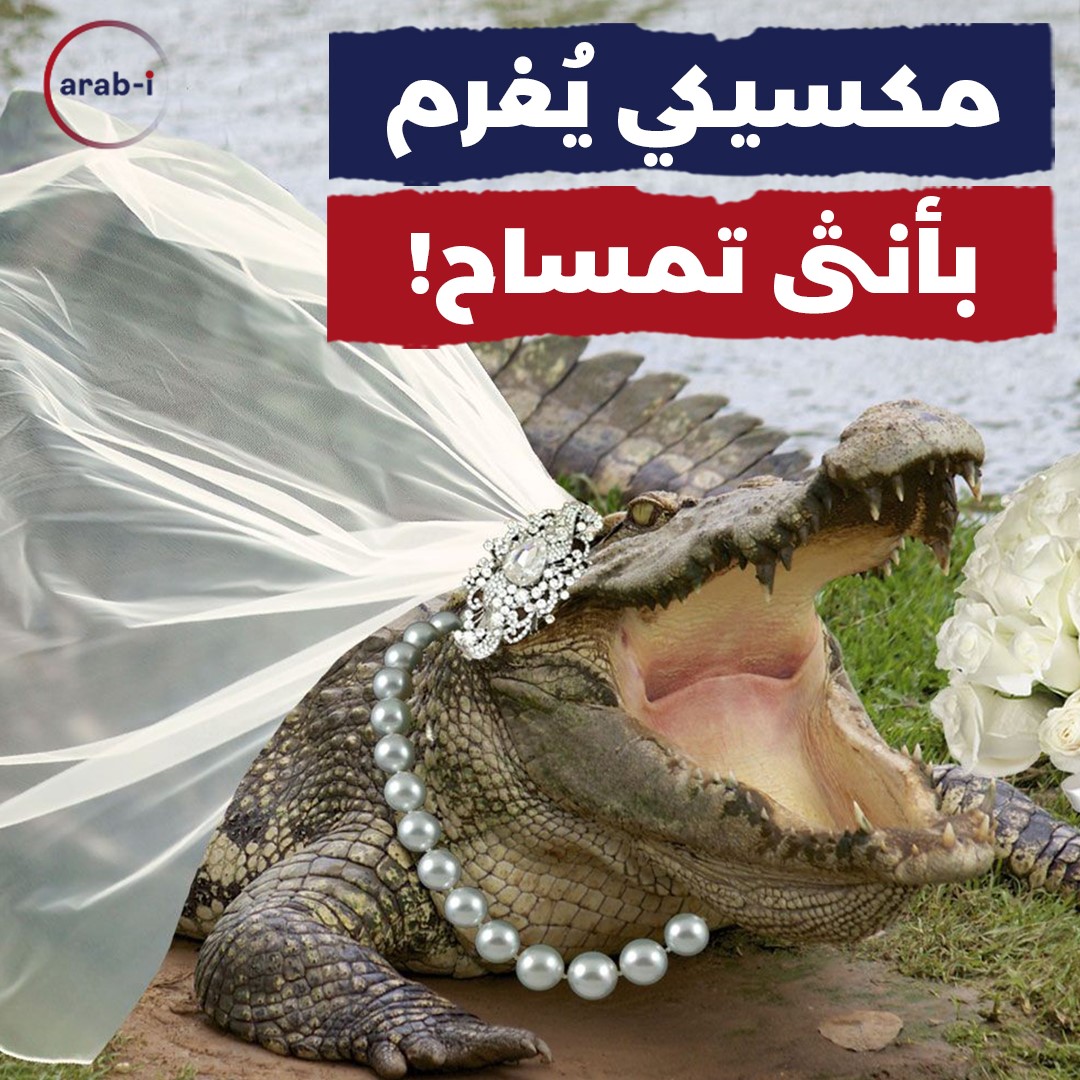 رئيس بلدية مكسيكي يتزوج أنثى تمساح بحضور ومباركة أهالي بلدته!