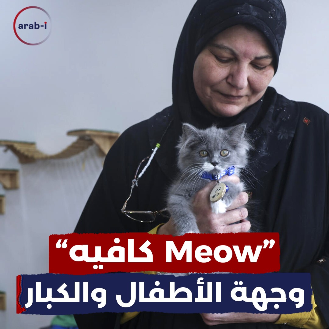 أول مقهى لمحبي القطط في غزة … بين الترحيب والانتقاد
