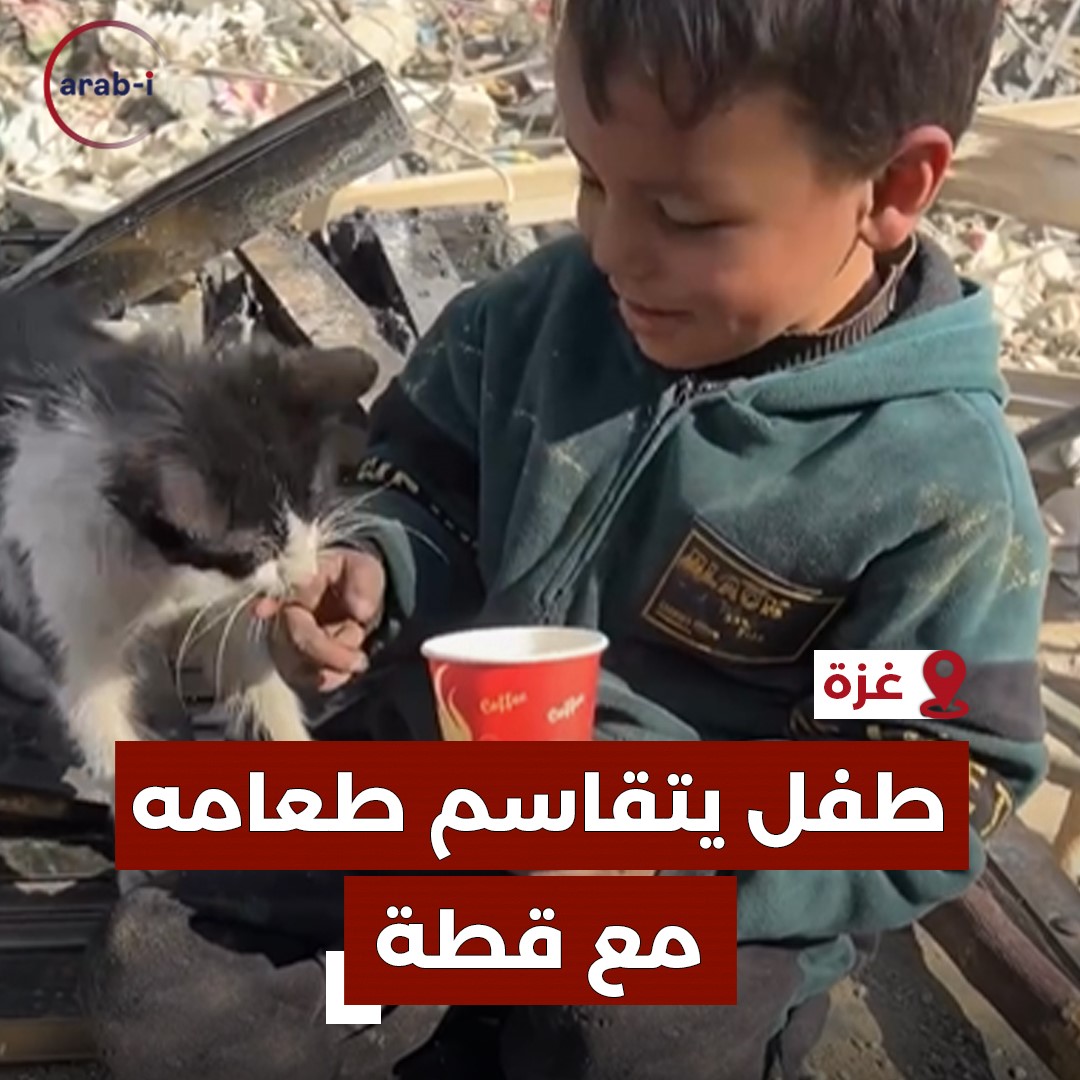 طفل يتقاسم طعامه مع قطة